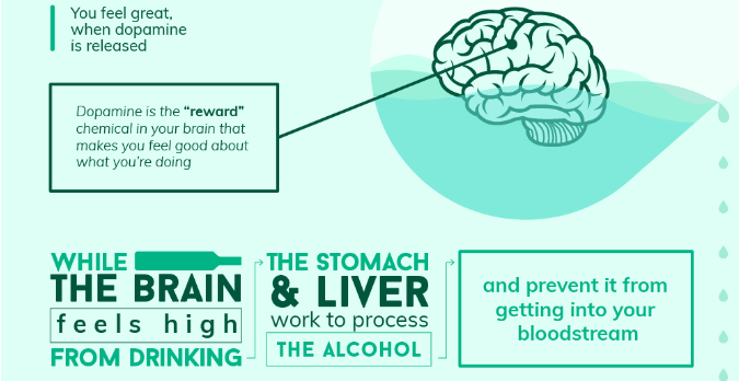 what happens when you get drunk - infographic