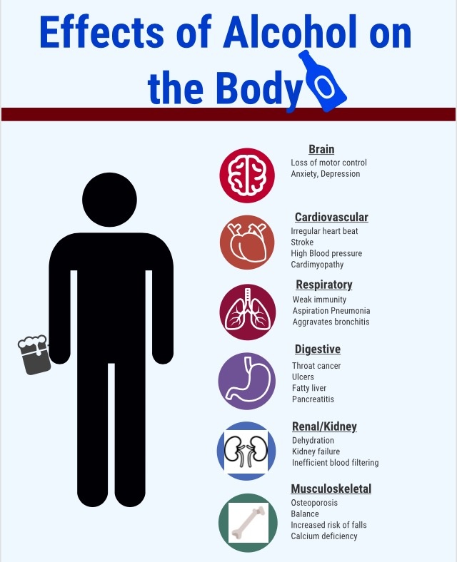 Effects of Alcohol Use on Your Body