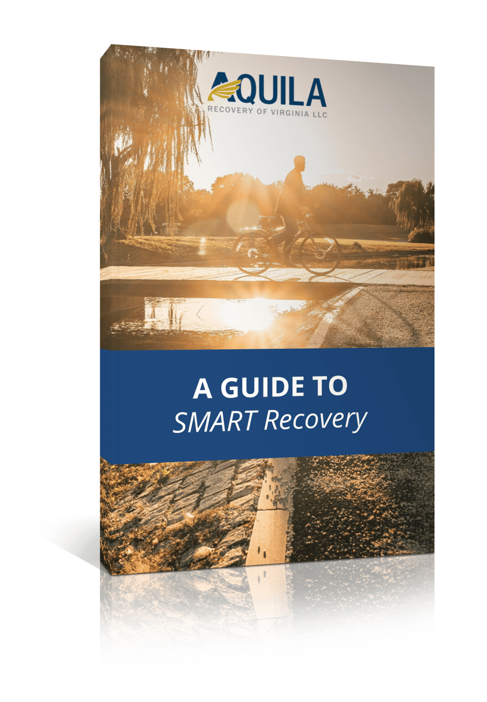 A Guide to SMART Recovery eBook