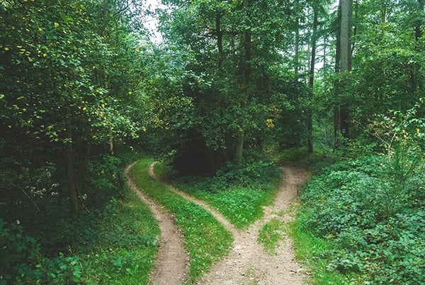 12 Step program vs Smart Recovery 